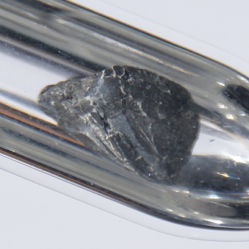 Barium — 1.5 Grams Barium with a Grey Oxide Layer under Argon. Original size in cm: 0.7 x 1