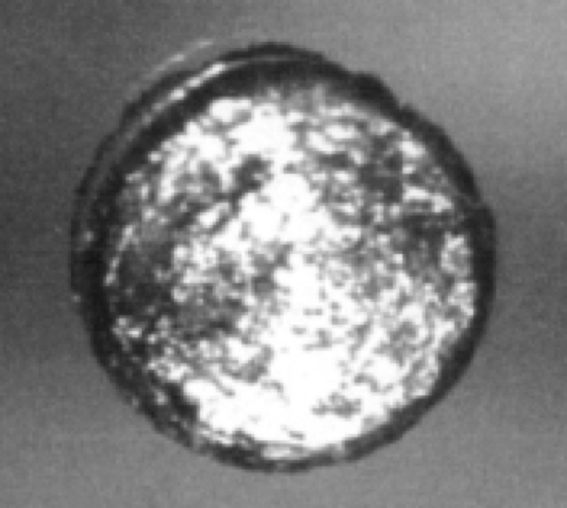 Californium — A disc of californium metal (249Cf, 10 mg). The source implies that the disc has a diameter about twice the thickness of a typical pin, or on the order of 1 mm