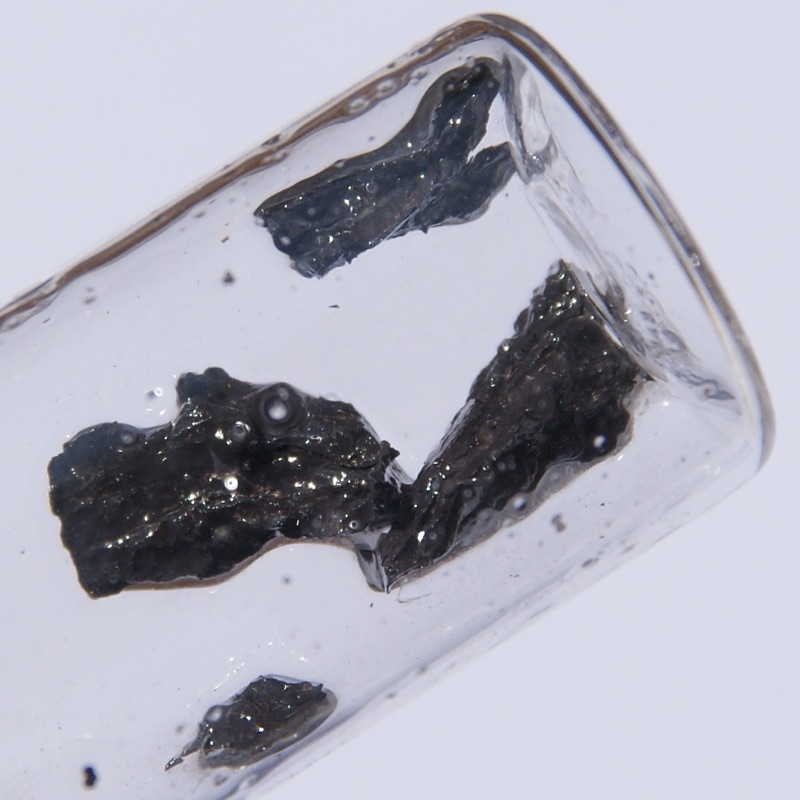 Strontium — Strontium Pieces under Paraffin Oil.